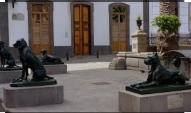 Casa Colonial Vegueta Appartement *